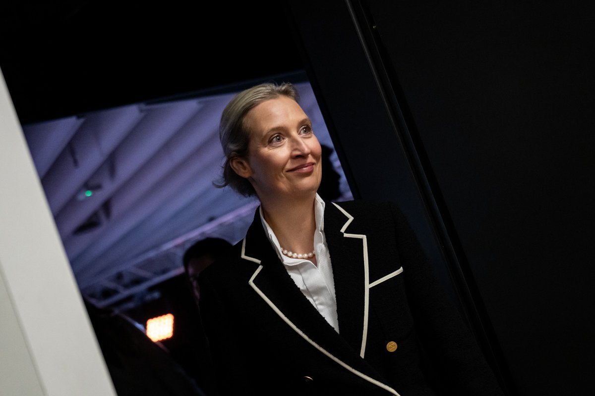 Alice Weidel tweet media