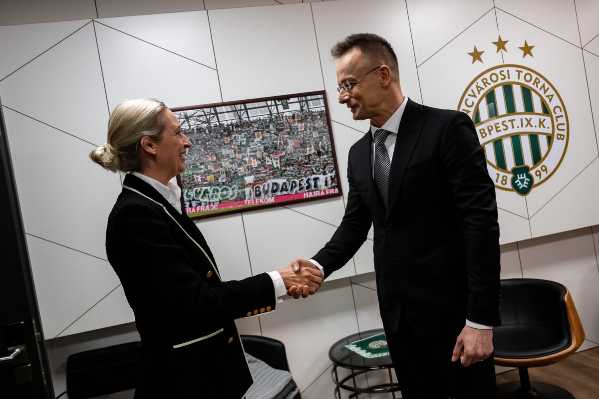 Alice Weidel tweet media