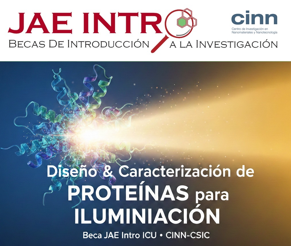 NanoCINN's tweet photo. 📢 ¡Beca JAE Intro ICU en el @NanoCINN!🔬
🚀 Comienza tu carrera investigadora en un entorno internacional y puntero.
📌 Requisitos y solicitud: https://t.co/f5GF2KPLw8
#Bioinformatica #BiologiaComputacional #MaterialesFuncionales #JAE #Ciencia #Beca #Investigacion #CSIC https://t.co/StV7jDMRcq
