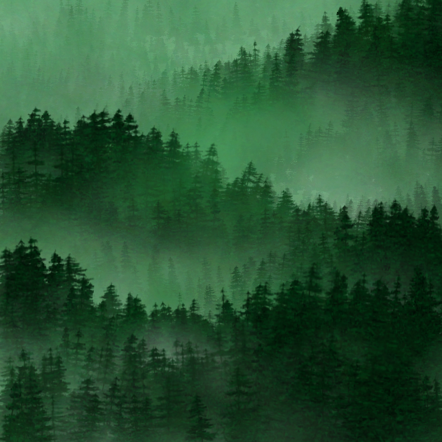 Jeff Clark tweet media