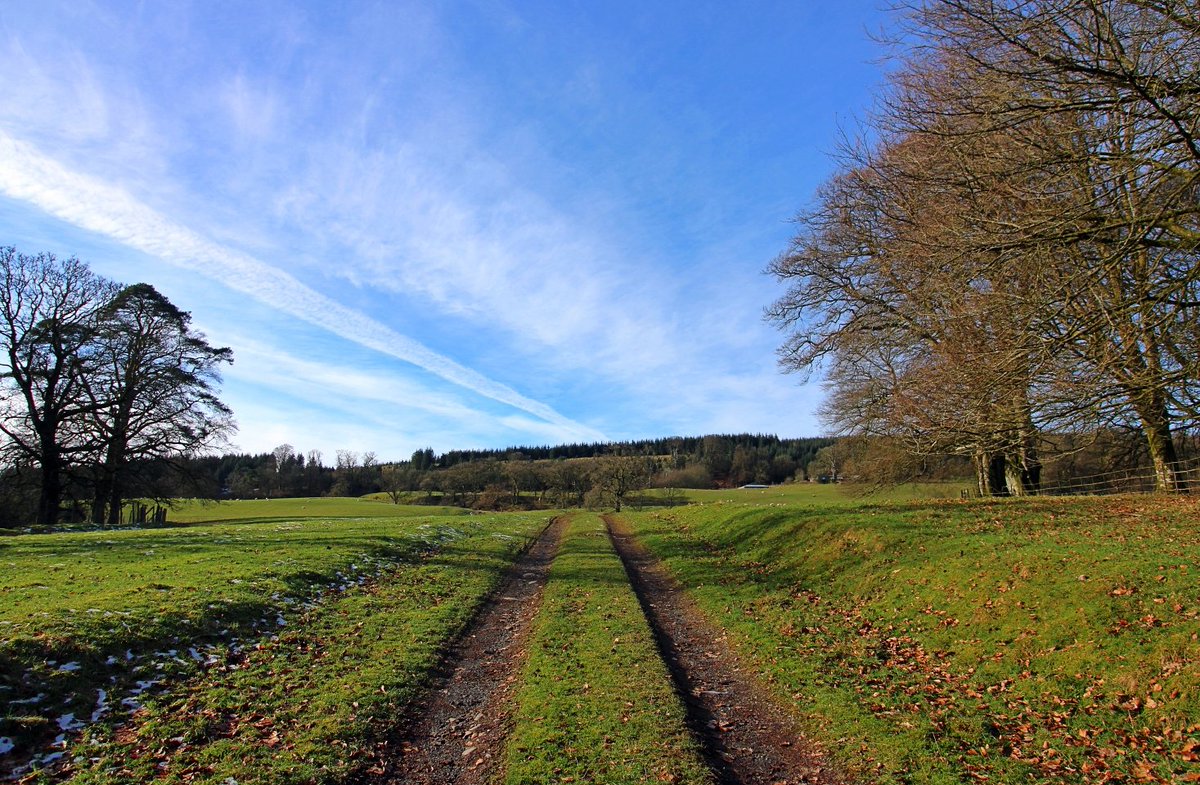 Blue skies today the snow disappears for now.