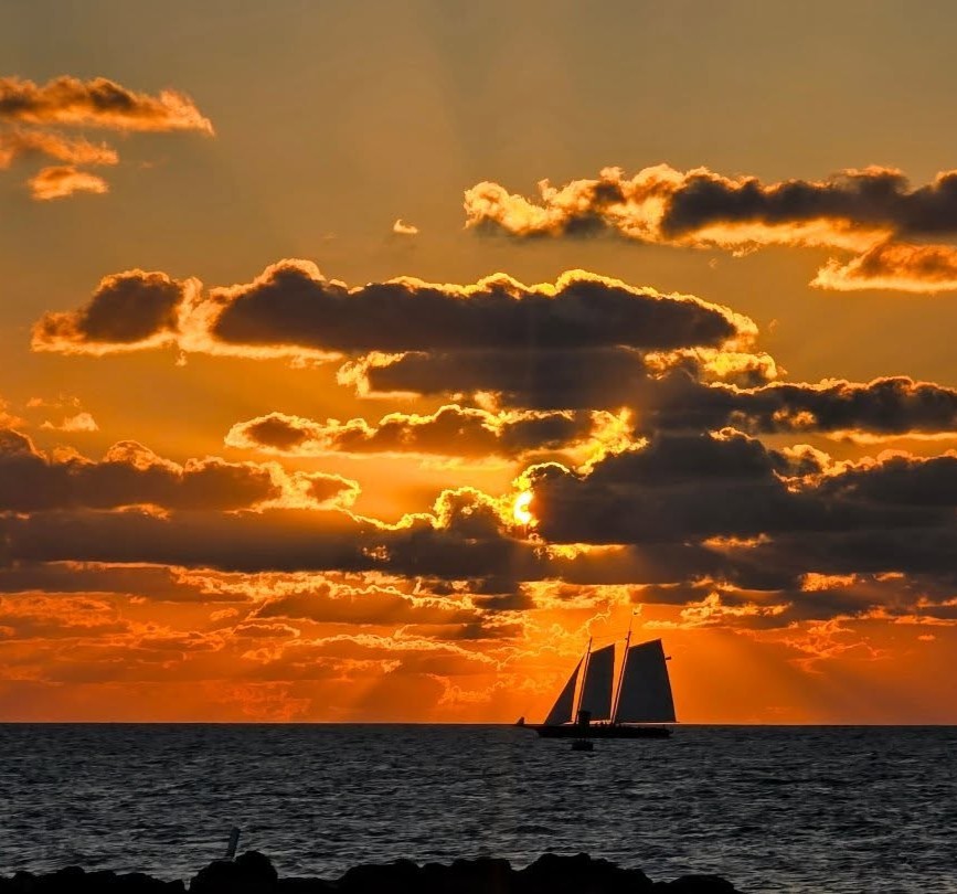 Florida State Parks tweet media