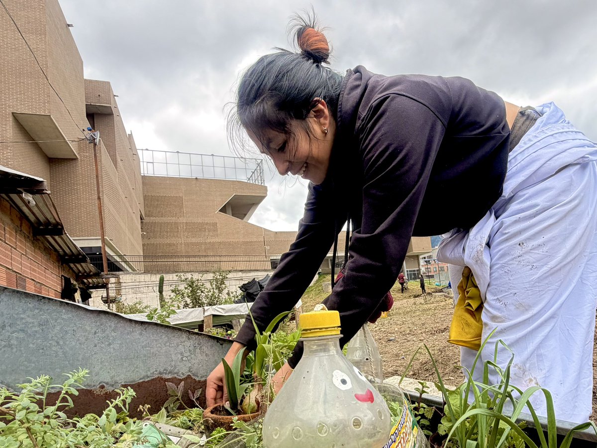 BronxDC_Bogota's tweet photo. Hoy las raíces encontraron nuevo suelo.
Entre palas, herramientas y trabajo en equipo, seguimos construyendo la Bogotá que soñamos: una ciudad que se cultiva por y para la comunidad.
Porque la transformación se trabaja con las manos. 🌿
#EsquinaRedonda #Huerta #trasteo #Bogotá #HablemosBienDeBogotá