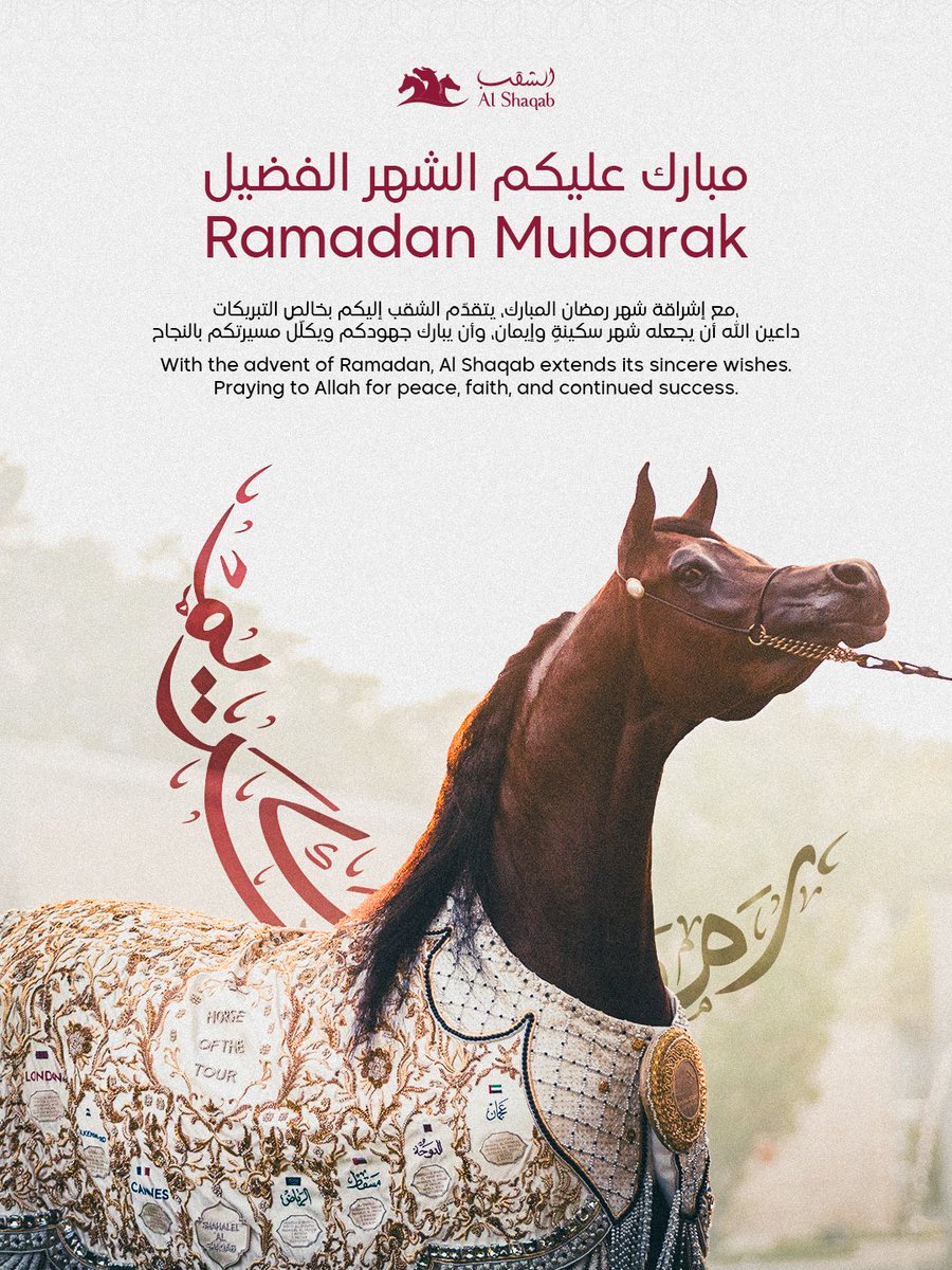 Al Shaqab tweet media