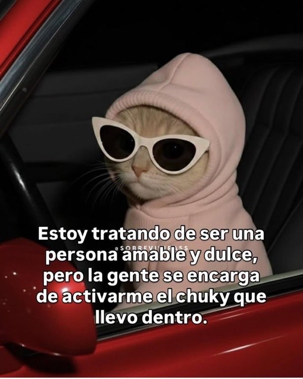 Fabiolacar49087's tweet image. 