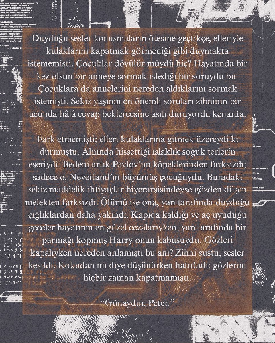 zelee. tweet media