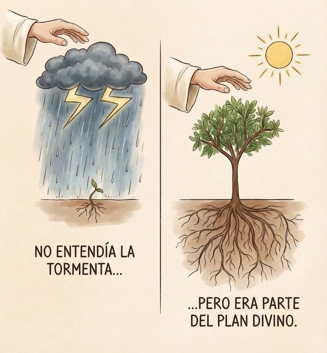 Tu bro de confianza (@elgranbro) on Twitter photo 