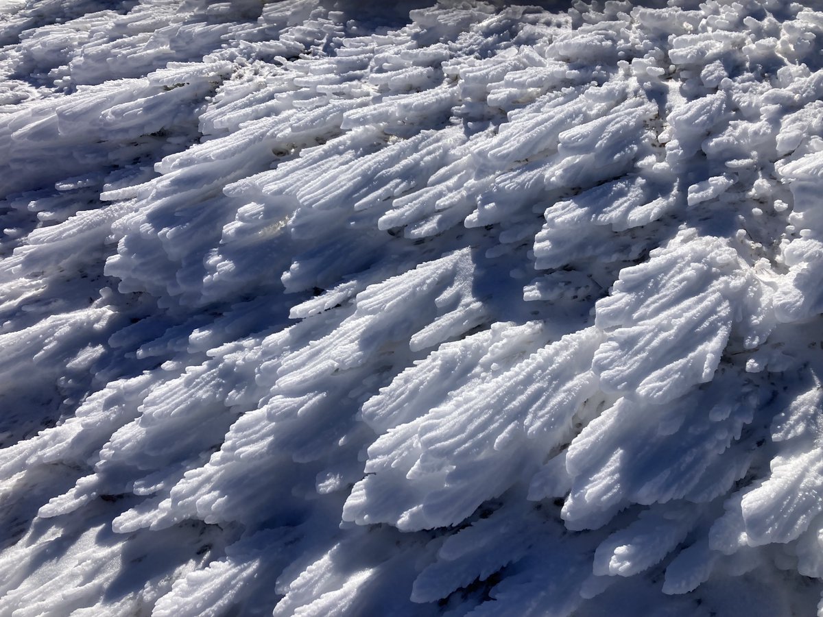 The Neurosciences Foundation tweet media