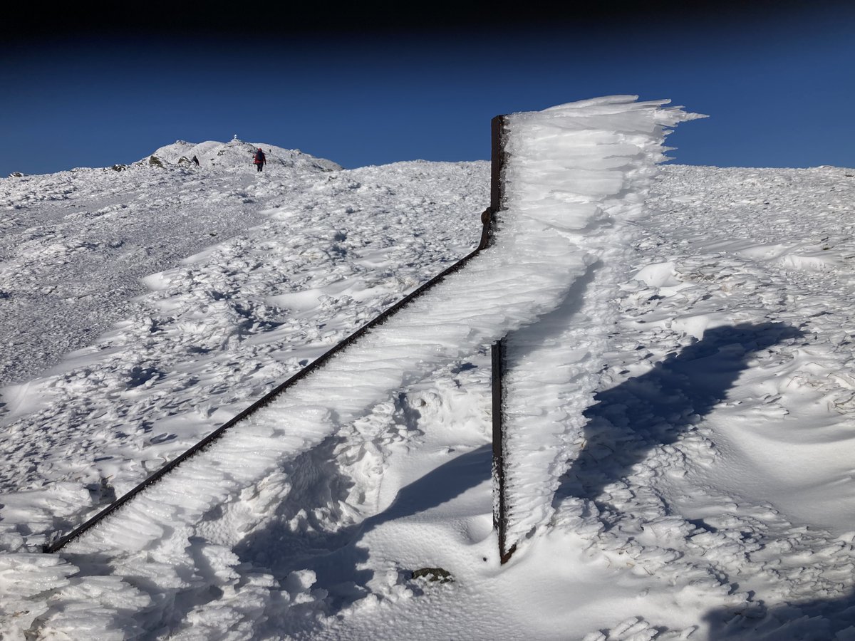 The Neurosciences Foundation tweet media