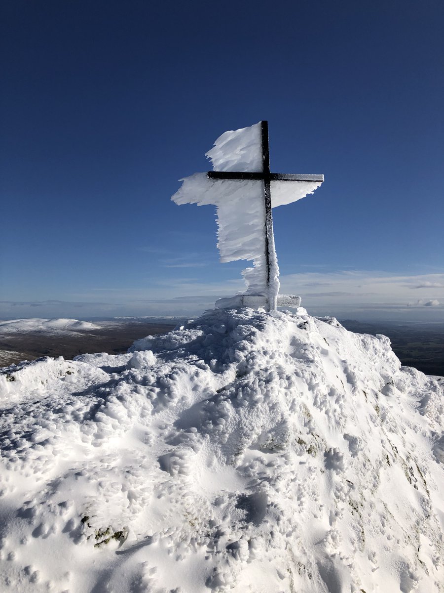 The Neurosciences Foundation tweet media