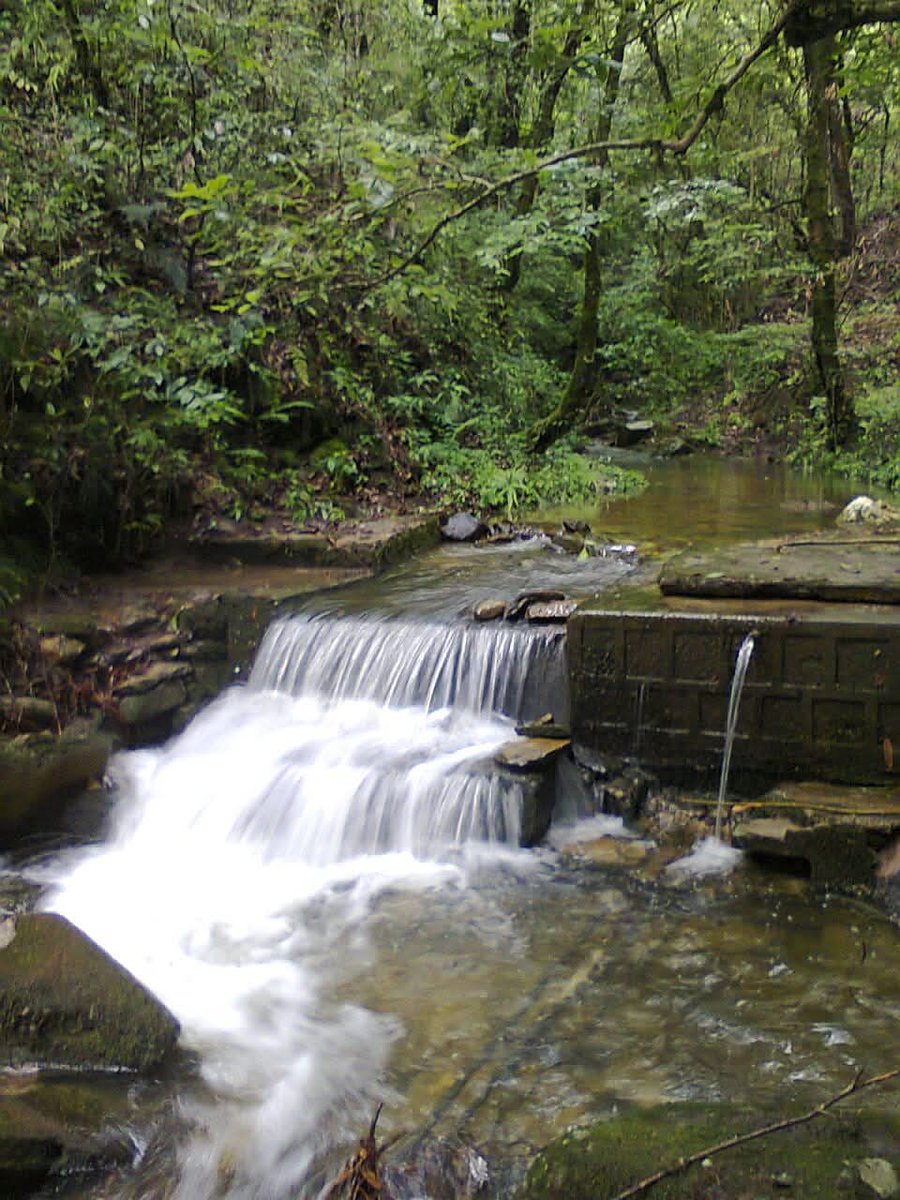 सपना एक सुंदर #ऐंणी_झील का 
माननीय मुख्यमंत्री श्री <a href="/pushkardhami/">Pushkar Singh Dhami</a> जी आदरणीय कैबिनेट मंत्री श्रीमती <a href="/rekhaaryaoffice/">Rekha Arya</a> जी #ऐंणी_झील निर्माण हेतु मदद अपेक्षित है।
#शीतलाखेत
#सोमेश्वर 
#पर्यटन
आदरणीय कैबिनेट मंत्री श्रीमती <a href="/rekhaaryaoffice/">Rekha Arya</a> जी आपको मेल के जरिए पत्र भी भेजा है।