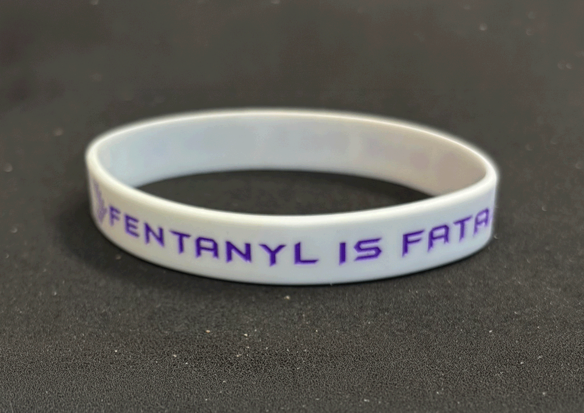 Safetypup tweet media