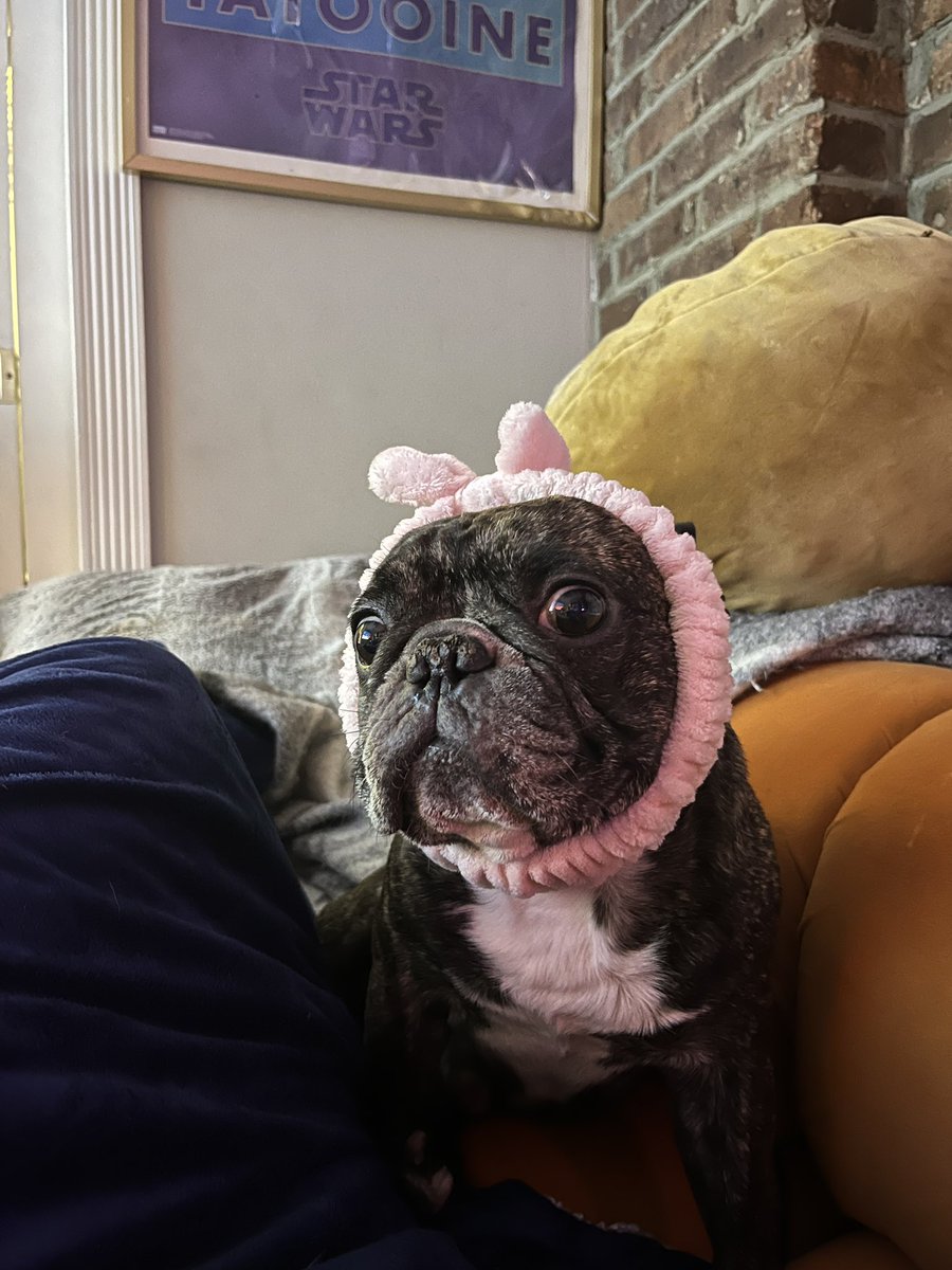 Танье Вэст tweet media