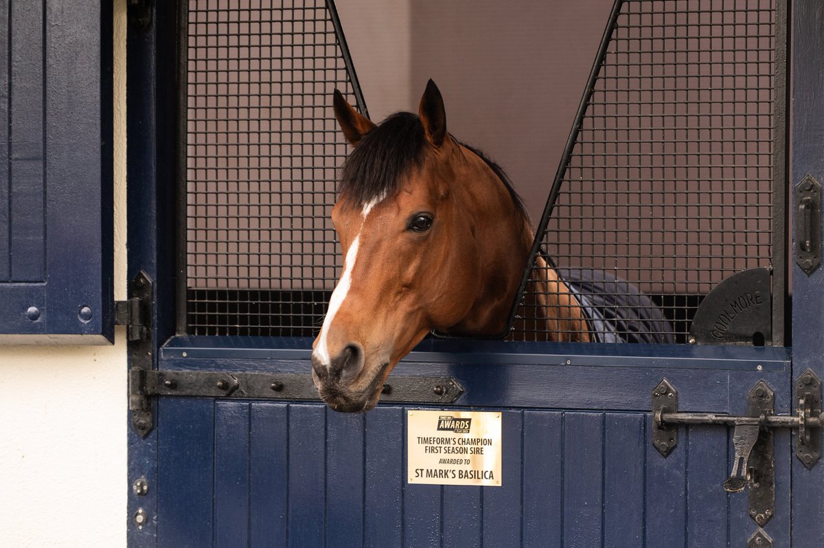 Today marks the beginning of the Chinese Year of the Horse and, with first-crop Classic prospects such as Diamond Necklace, Aylin, and Thesecretadversary gearing up for the season ahead, we think that horse is going to be ST MARK’S BASILICA 🤩

📸 The European Champion 2YO &amp;