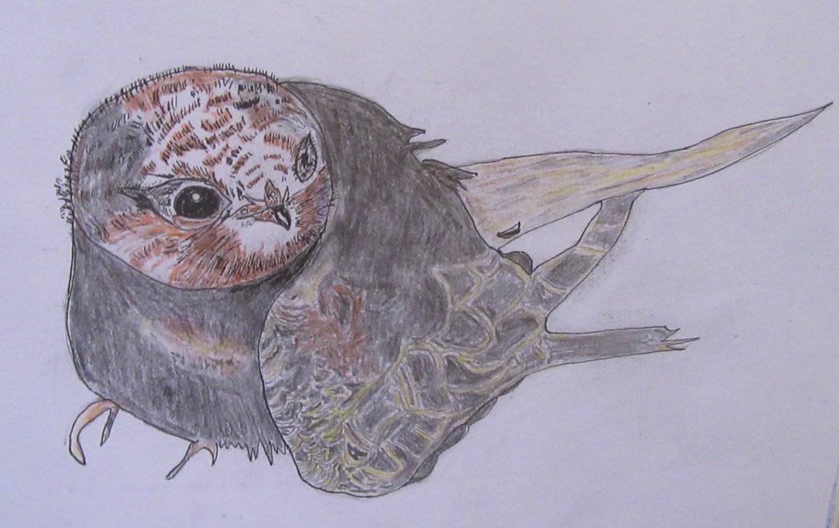 Geoff Settle tweet media