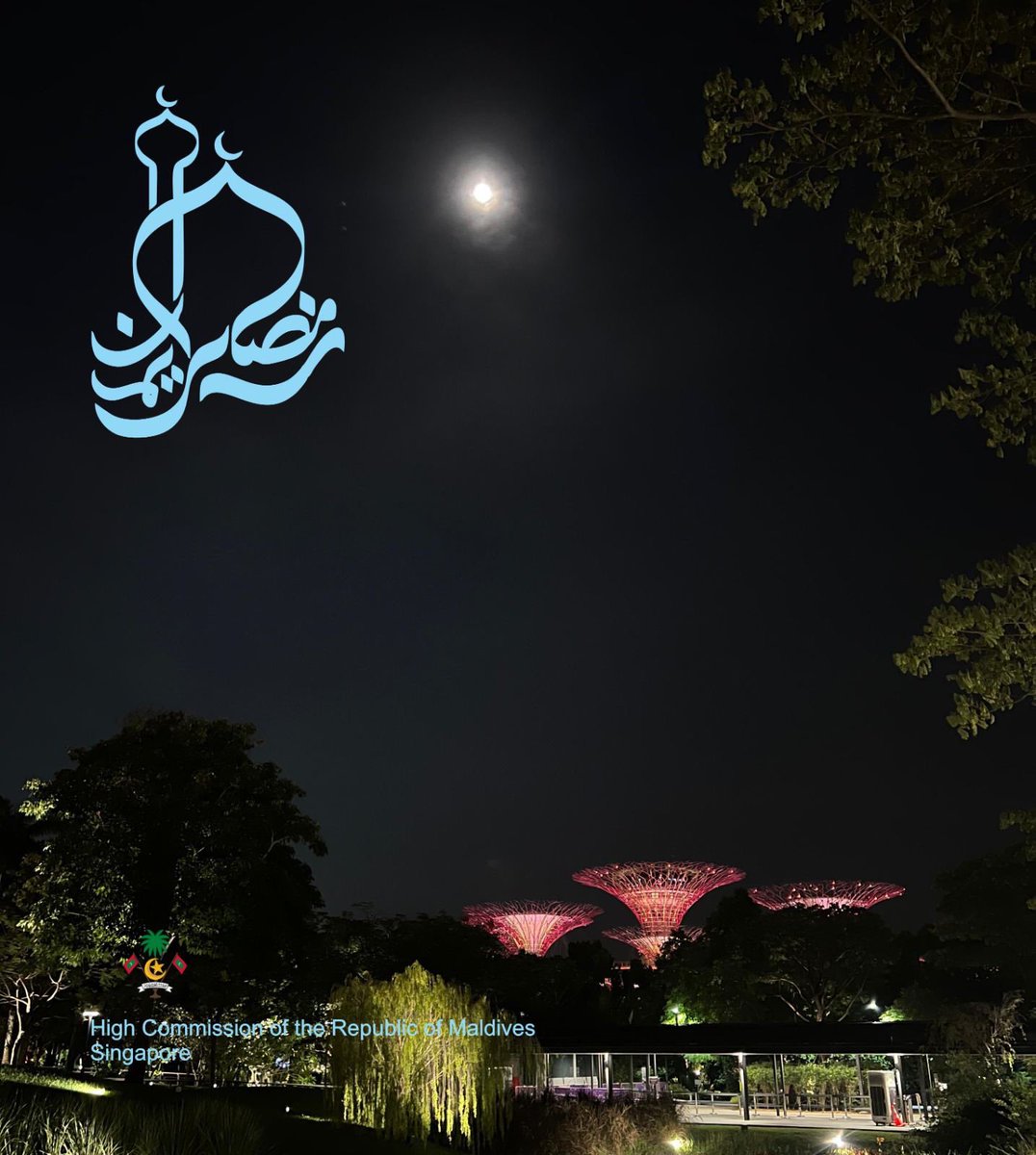 Maldives in Singapore tweet media