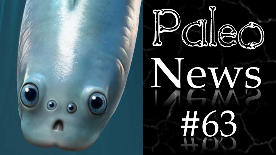 Paléonews tweet media