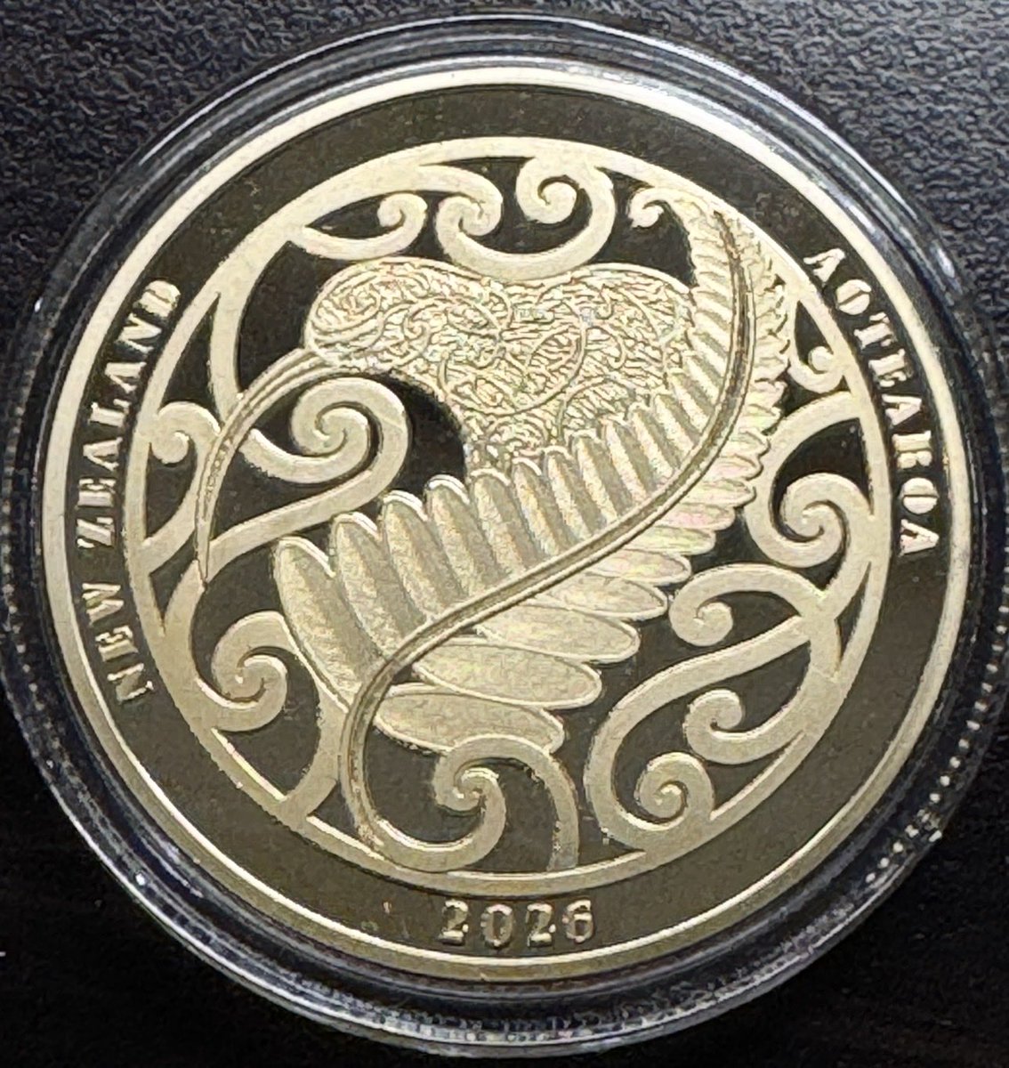 Sesour 🌏 tweet media