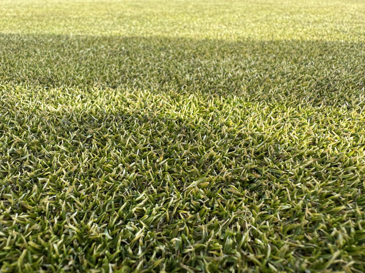 Brandon Razo, CGCS tweet media