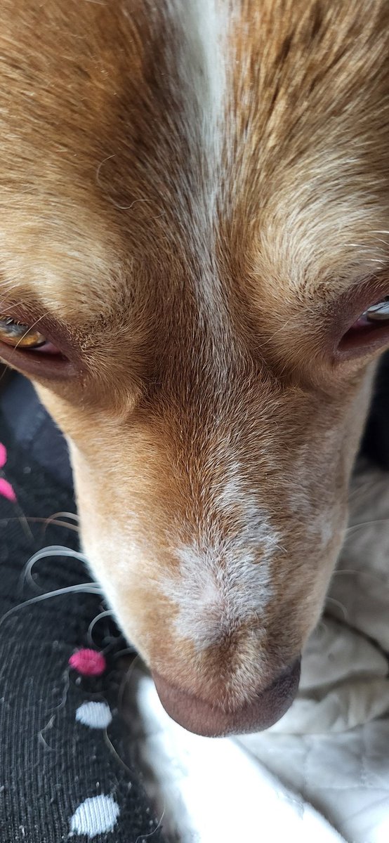 🎶I'm at the Gay Home
Tryin to blow hole
Leavin my mouth real full of you
Where has the time gone
My throat is so strong
Making you blow a load or two
Happy ever afters do exist
The way that im blowin you like this...

IM AT THE GAY HOOOOOOME🎶

"Gay Home" - Maroon 5