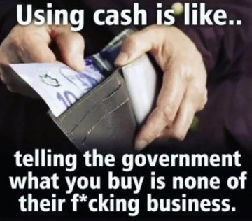 lisahsmithlhs tweet media