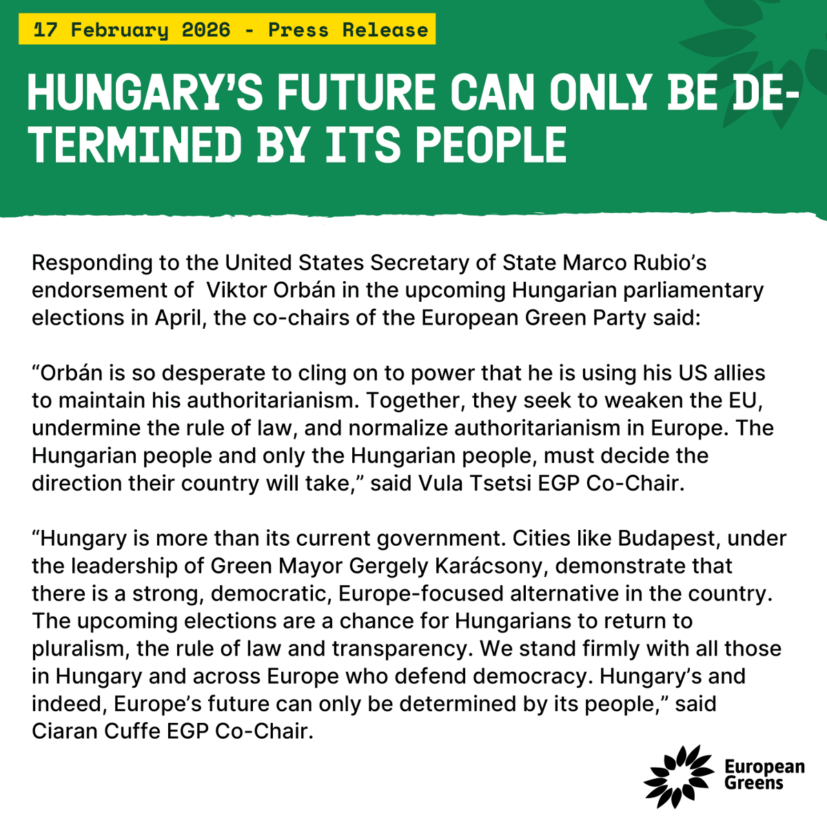 European Greens tweet media