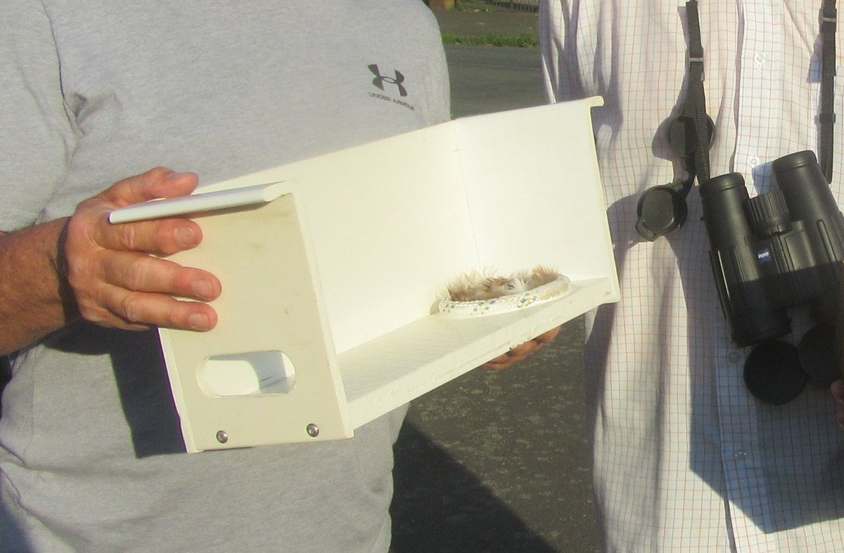 Geoff Settle tweet media