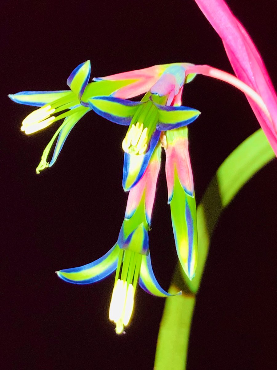 あっくん tweet media