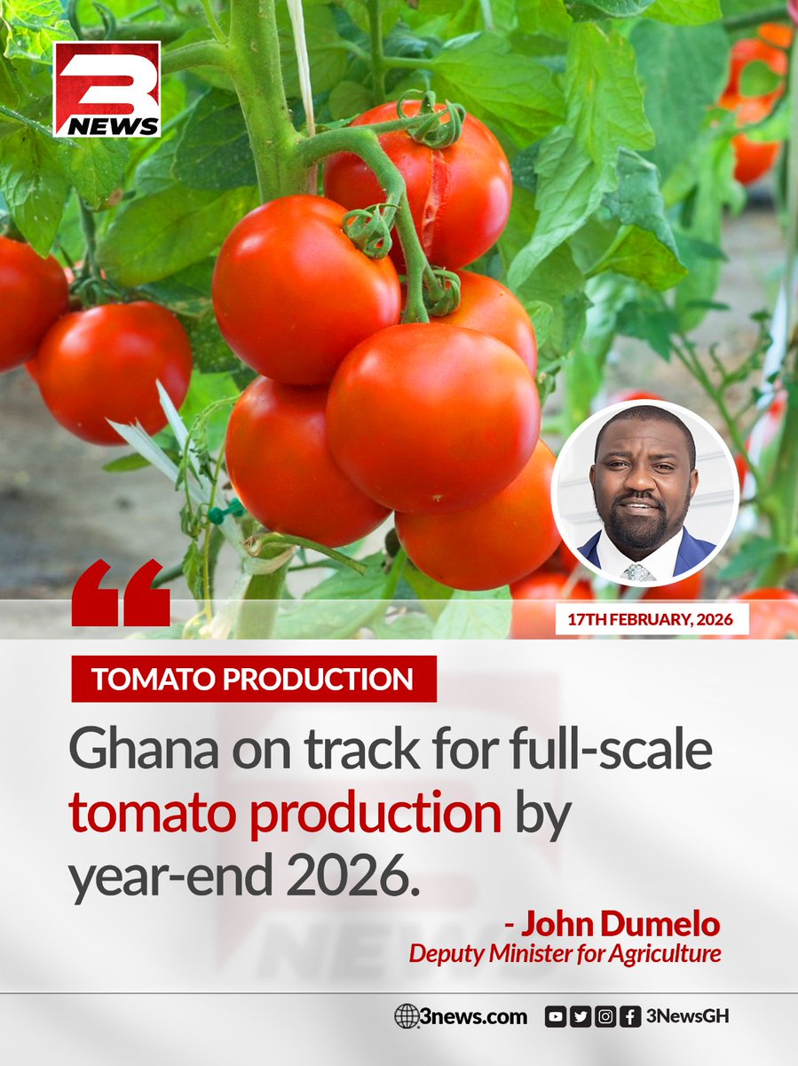 tv3_ghana's tweet photo. Deputy Agriculture Minister John Dumelo announces that Ghana is on course to achieve large-scale domestic tomato production by the end of 2026, with trials underway at irrigation schemes to reduce reliance on imports from Burkina Faso.

#3NewsGH #TV3GH https://t.co/rwtQvCfYsZ