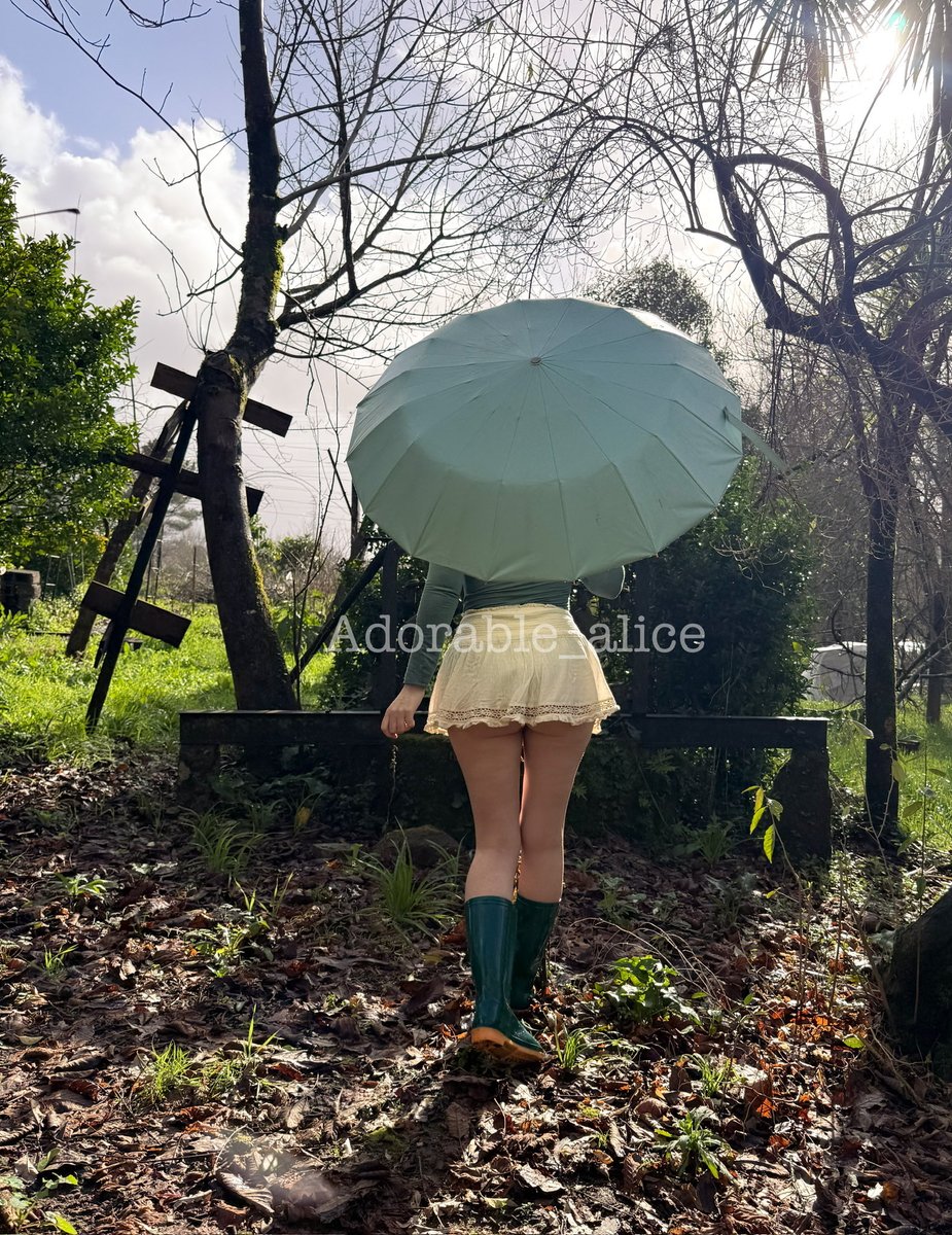 Adorkable Alice tweet media