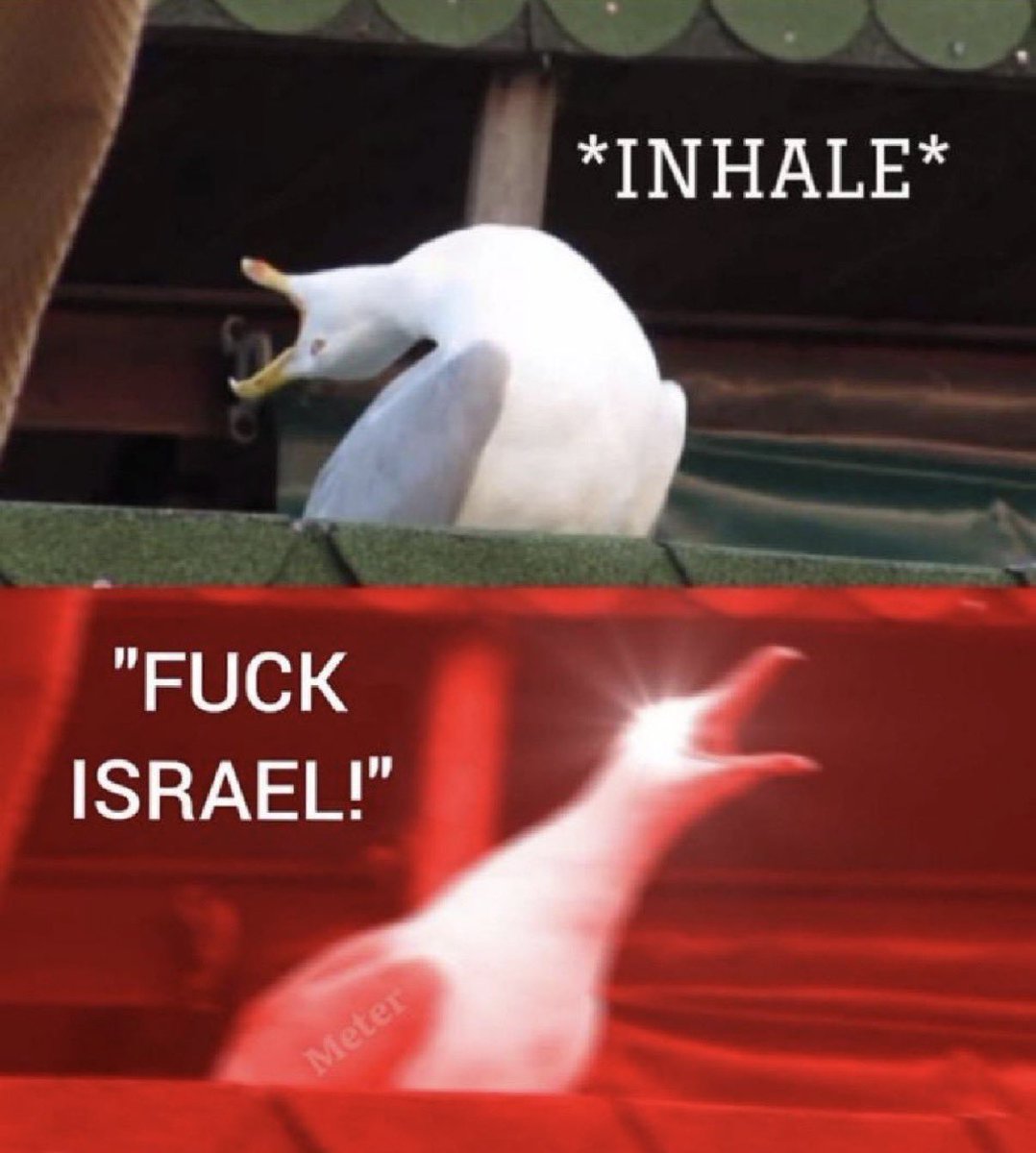 Fuck Israel.
#RutoMustGo.