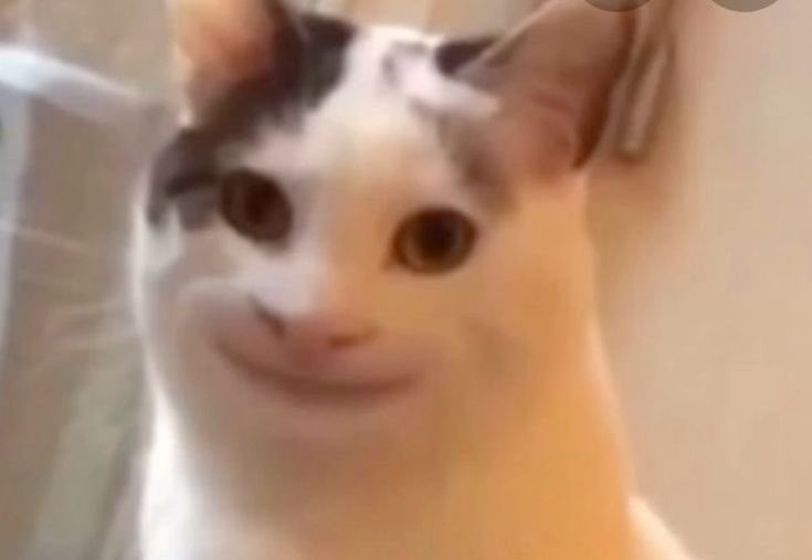 léa ✮⋆˙ tweet media