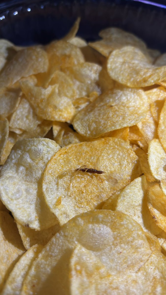 TarrasQueX tweet media