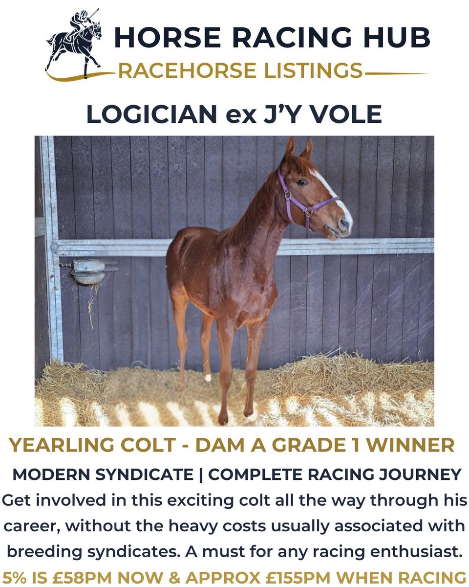 Horse Racing Hub tweet media
