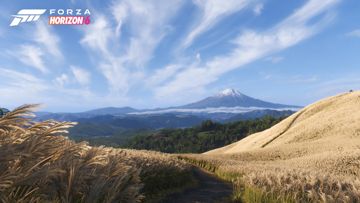 Forza Horizon en Français tweet media