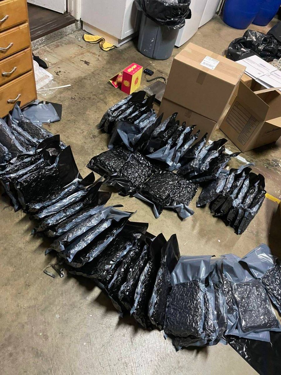 STONERS 🚨 STONERS 🚨 

How many blunts do you smoke a day...I will select people with the highest blunt and gift them a Pound or maybe Qp

Like 
Repost 
Comments