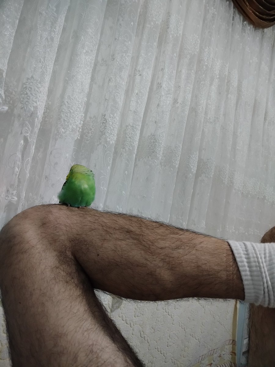 Güvende olduğunu biliyor