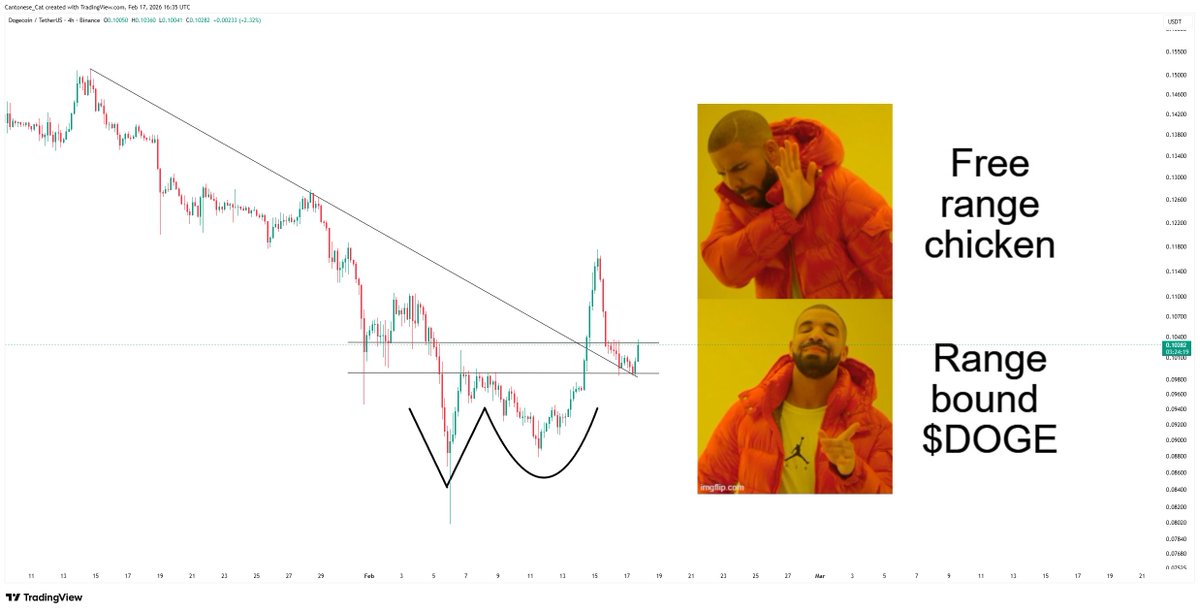 Cantonese Cat 🐱🐈 tweet media