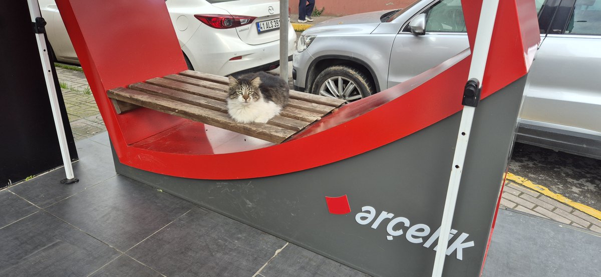 Billie Catlish'i takdim ederim