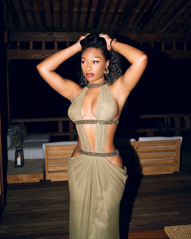 MegansStats's tweet photo. Megan Thee Stallion via IG. https://t.co/ooBhxvn2jK