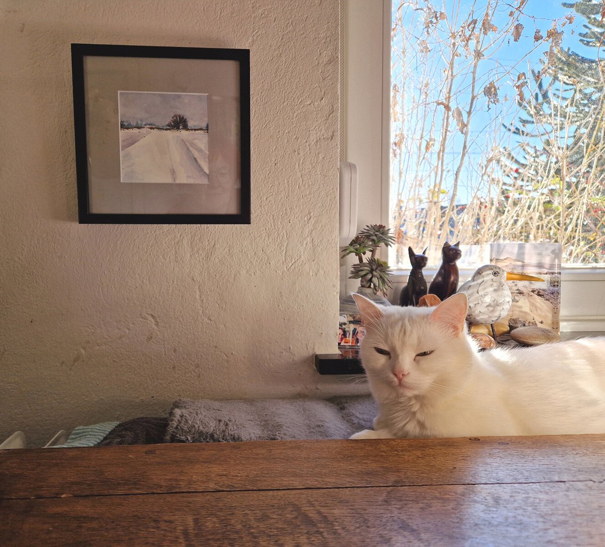 UMS-Arts tweet media