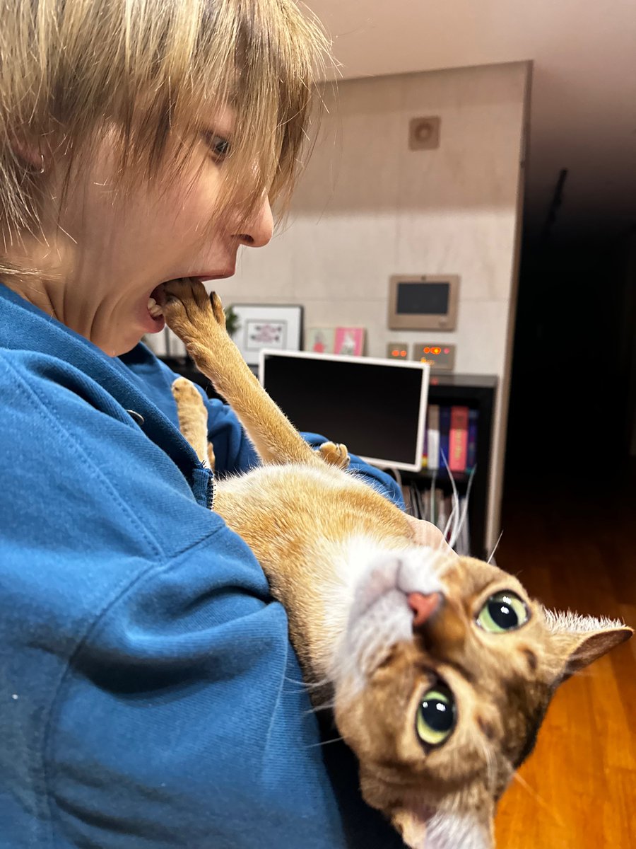 ㅁㅊ웆냥이 왔다ㅜㅜ