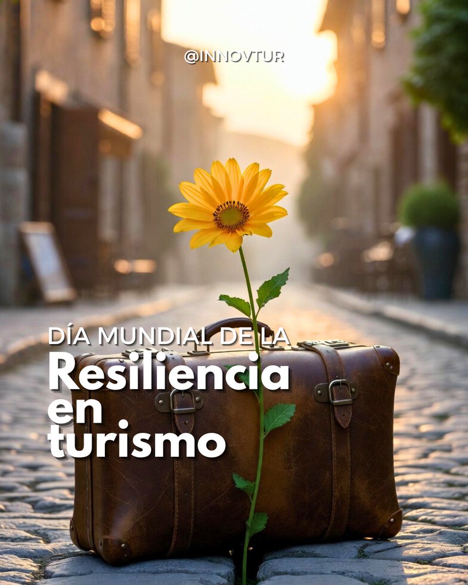 🌍✨ Hoy celebramos el Día Mundial de la Resiliencia en Turismo, recordando que los destinos, las comunidades y los profesionales del sector se reinventan y se adaptan ante los desafíos, construyendo un turismo más fuerte, responsable y sostenible.