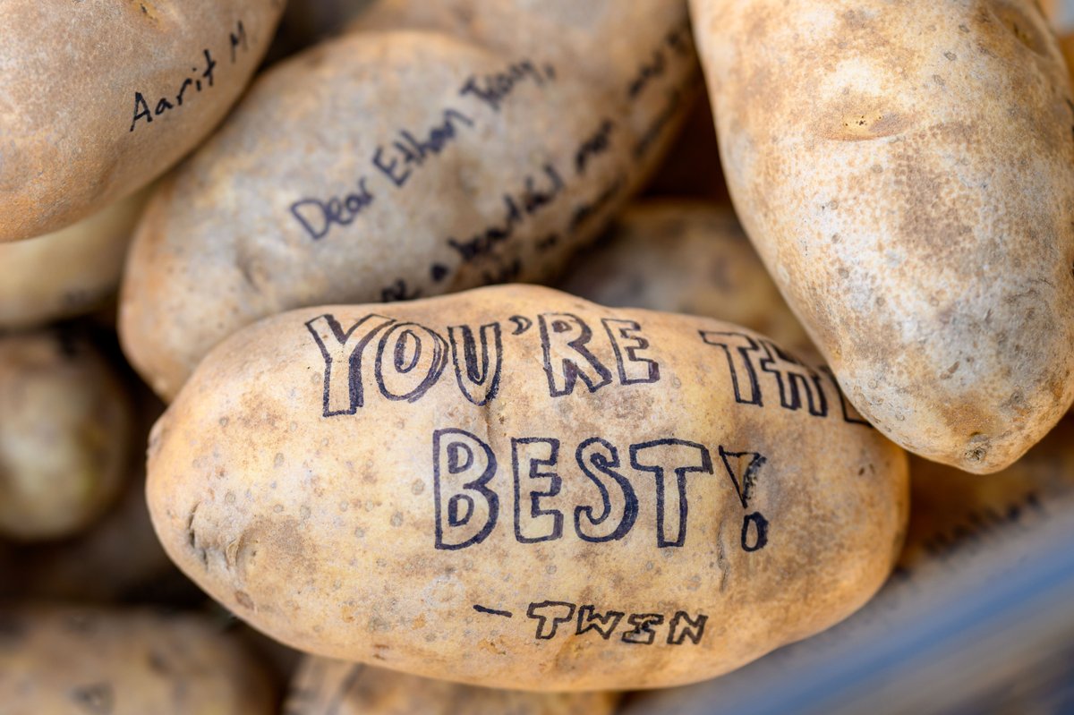 ND Loyal tweet media