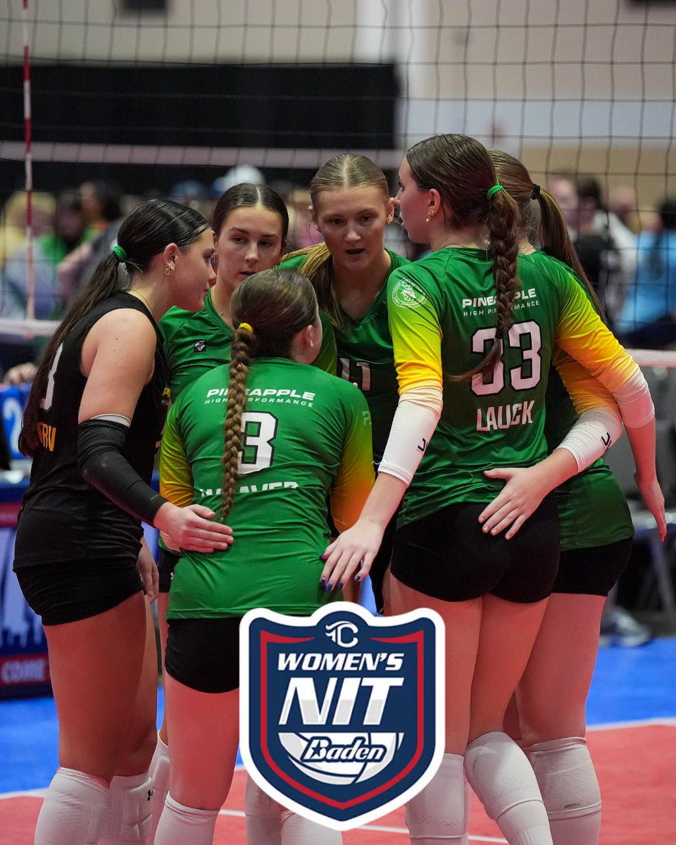 Pineapple High Performance tweet media