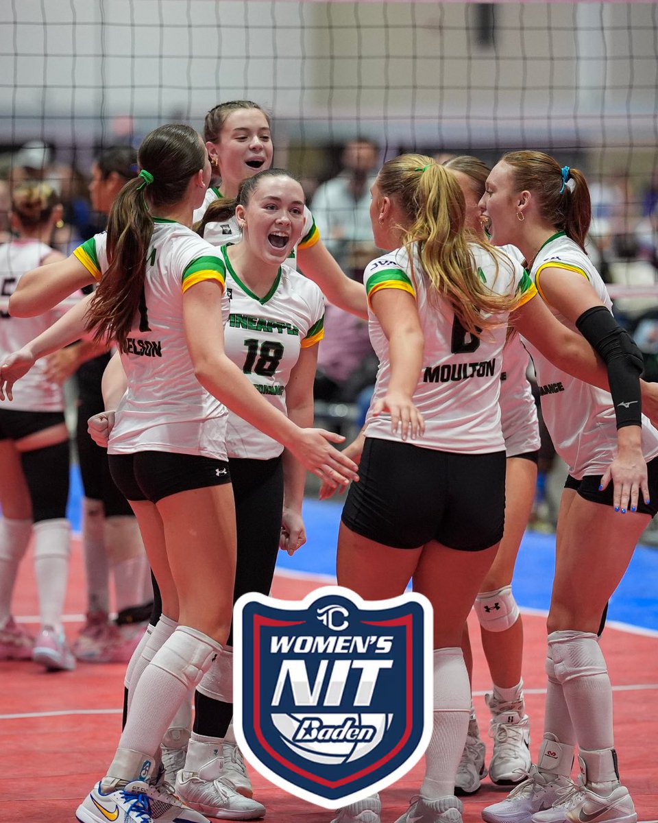 Pineapple High Performance tweet media