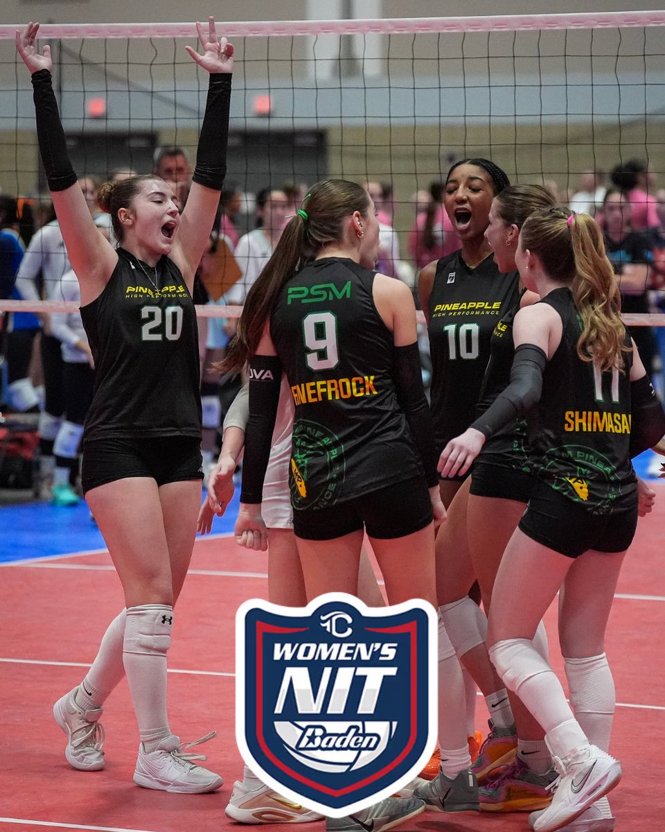 Pineapple High Performance tweet media