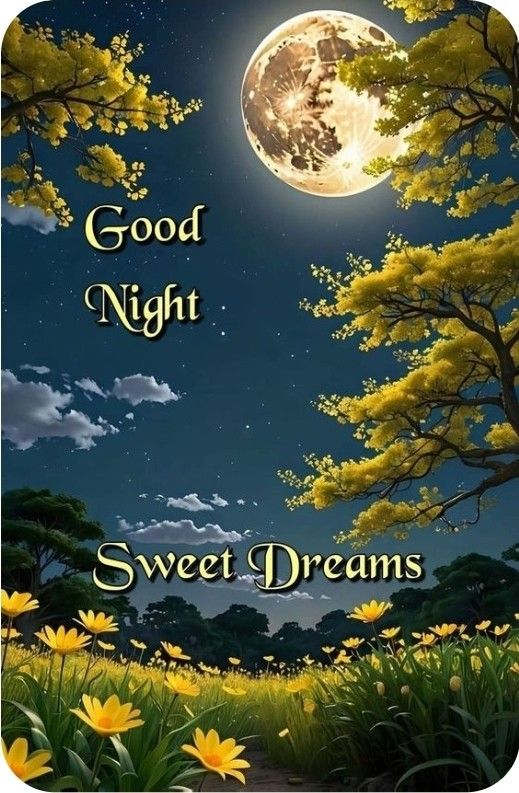 Gnight fam 🌙 🌴

Content isn’t just consumed anymore — it’s the raw material for the next wave of creation.
<a href="/permacastapp/">Permacast.app</a> makes every piece permanent, traceable, and infinitely remixable.
This is how media evolves from files → Lego bricks for AI, devs, and creators.