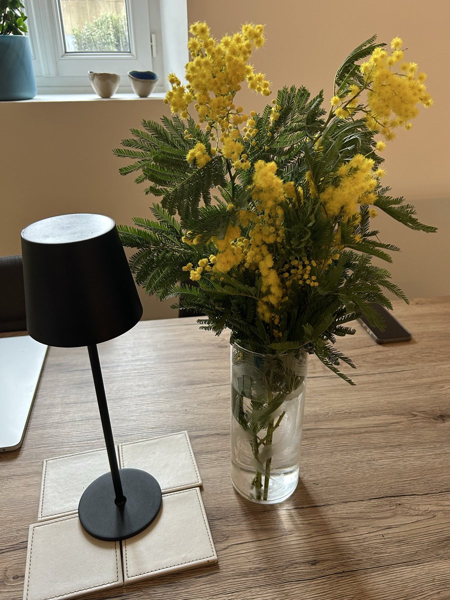 gill reynolds tweet media