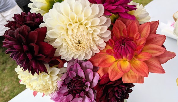 Hannah de Keijzer tweet media